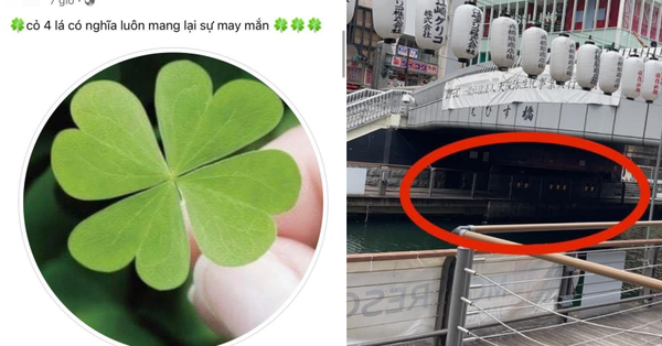 Không biết cậu thanh niên bị đạp xuống sông chết tại Nhật là con mình, người mẹ bình luận một câu khiến ai cũng xót xa - Vimarsana News