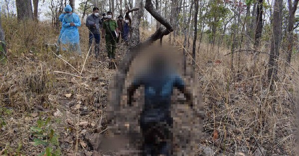 Man’s body found hanging in the forest in Dak Lak