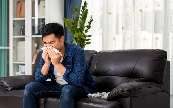 Winter is no longer afraid of allergic rhinitis thanks to choosing the right “companion”