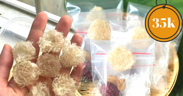 Set of mini bird’s nests sold busy on the online market, the price is “surprisingly cheap”