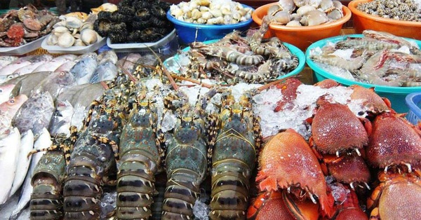 The prices of all kinds of seafood are extremely cheap