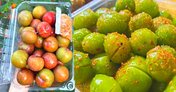 Early season plums are expensive, costing several hundred thousand dong/kg, still being cleared