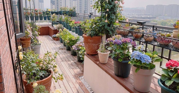 Having planted more than 200 pots of plants a year, the young mother turned her porch into an elevated garden