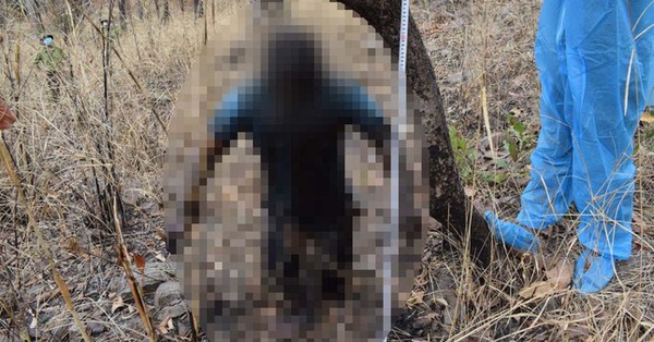 Wife and mistress kill husband to create fake scene of hanging in the forest
