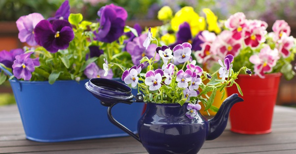 12 small but great ideas for you to enjoy gardening in your small home