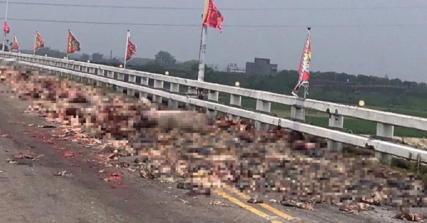 Truck spills pig organs on the bridge, blocking traffic for 2 hours