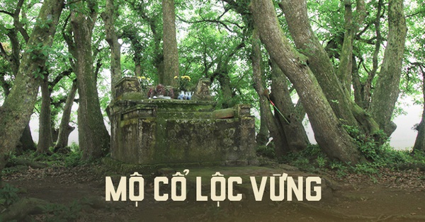 The mystery of the ancient tomb of the sesame mound guarding the gold warehouse in Phu Tho