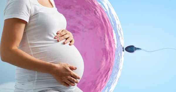 Basic steps of in vitro fertilization