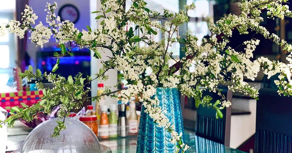 The enchanting white hawthorn flower branch is loved by Hanoians to order