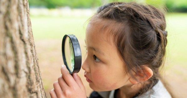3 signs that children are smart and are “good seeds” from a young age