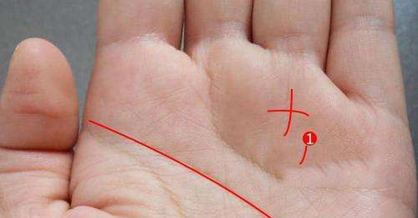 3 types of rich fingerprints predestined a rich destiny