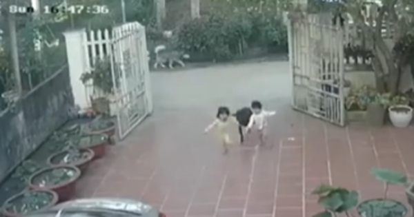 2 babies were chased and bitten by a fierce dog, the young mother’s action made everyone hold their breath