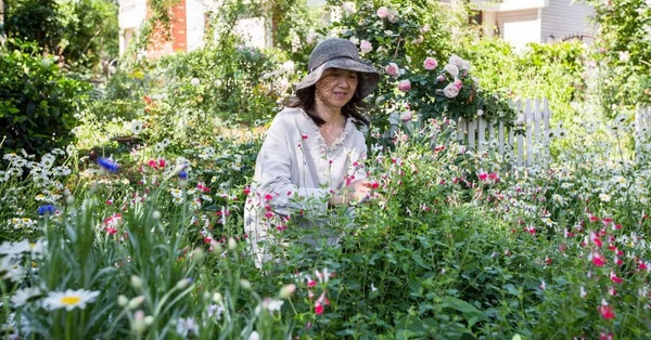 The garden is as beautiful as a retired teacher’s fairyland