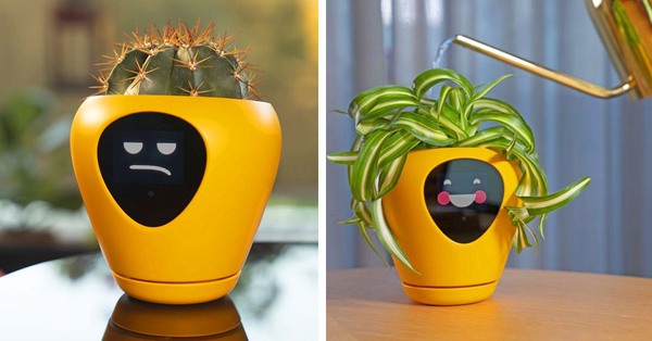 Plant pots are very smart when they can reveal emotions