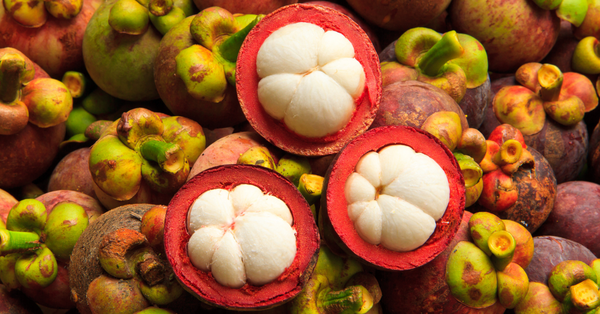How to choose delicious mangosteen, not dry, tips to choose mangosteen