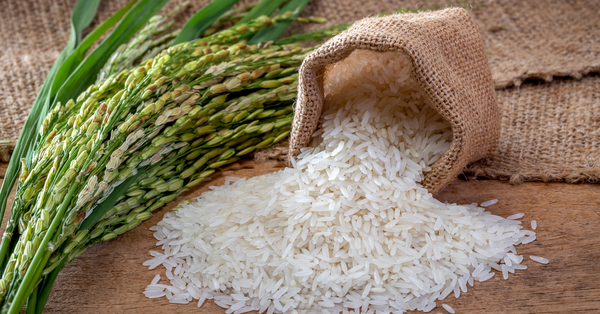 5 types of delicious rice are popular in the market