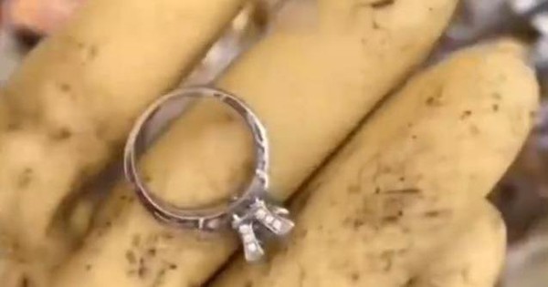 Woman buys junkyard to find wedding ring