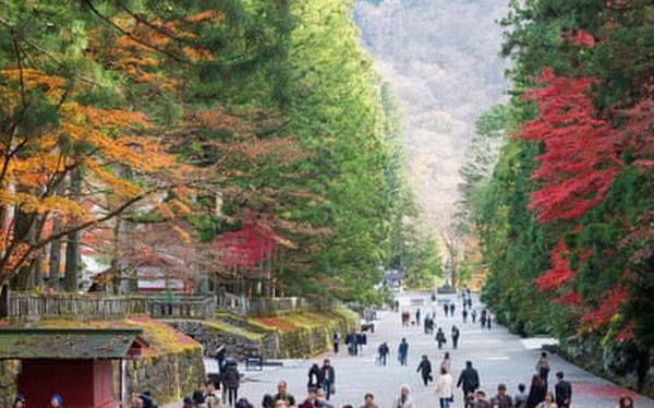 Japan announced limited “test tourism” from May, preparing to fully reopen