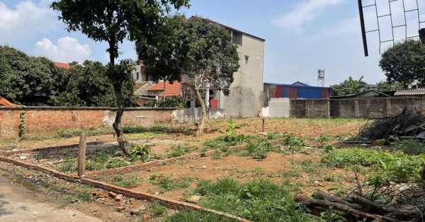 For a piece of land, the broker charges up to 8-10 times