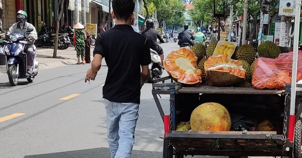 Red fleshed jackfruit peddling the price is still “cheap”