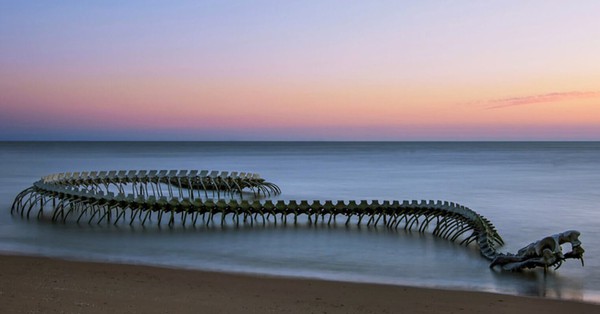 The image of a giant monster skeleton emerging from the sea and its unique meaning