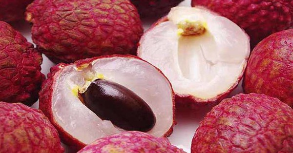 Bộ phận cực quý của quả vải, trị nhiều bệnh, thường bị ném bỏ