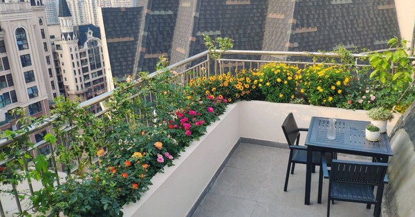 The balcony garden on the 33rd floor is only 15m