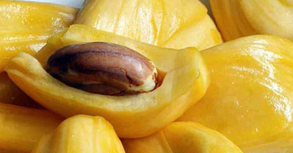Parts of the jackfruit the Japanese eat to live a long life, Vietnam throws it all away