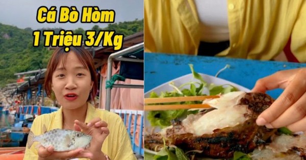 Netizens argue about a fish that costs more than 1 million/kg, as small as a fist but tastes like chicken, “so why not buy a chicken with more than 200k and eat it?”