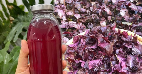 Perilla juice mixed with 3 things, smooth and beautiful skin, anti-cancer