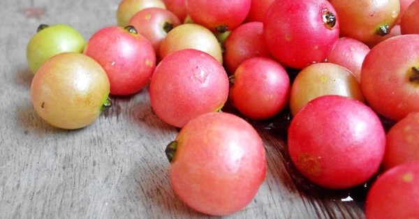 The fruit in Vietnam is full of collagen-rich roots, avoiding cancer instead of cherries and blueberries