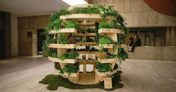 Beautiful small wooden garden for townhouse farmers