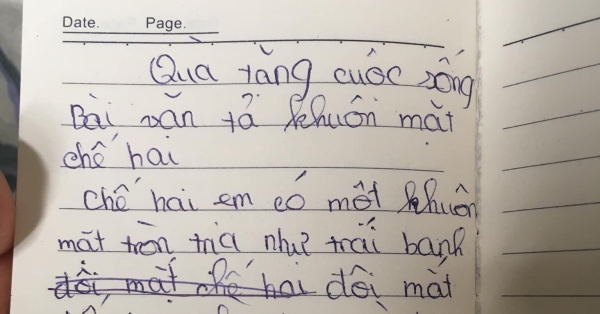 Bài văn tả thân hình chị hai như 