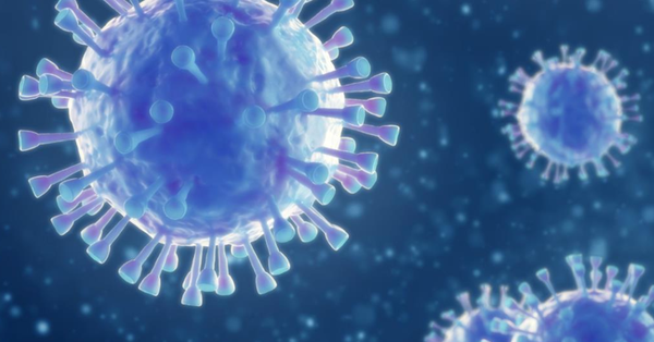 New corona virus detected in Sweden, “don’t know if it is dangerous to people”