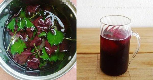 How to make perilla juice to drink every day to have beautiful skin and lose weight