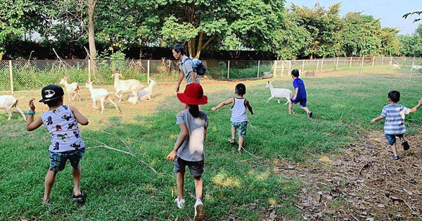 Cách Hà Nội 50km, có 1 nông trại thú vị nơi trẻ có thể cưỡi ngựa, cho dê ăn và nhiều trải nghiệm hấp dẫn khác