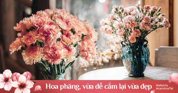 Hoa cẩm chướng chính là loại hoa không thể thiếu trong ngày Tết rực rỡ