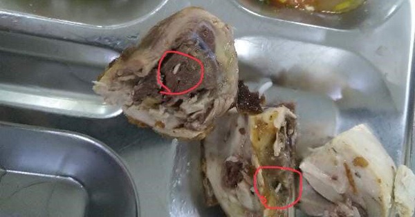 Cơ quan chức năng vào cuộc điều tra vụ suất ăn có giòi ở Bắc Ninh