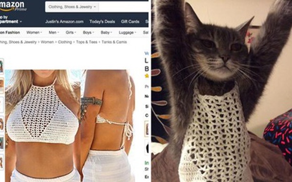 Ảnh vui 3/11: Cô mèo được sen thắt bím, mặc váy để chờ người yêu - Tuổi Trẻ  Online