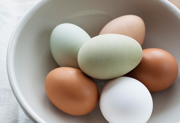 Cho con ăn trứng một cách khoa học nhất 1