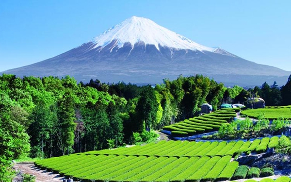 Sự thật thú vị về ngọn núi Phú Sĩ linh thiêng ở Nhật Bản