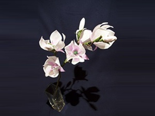 Hướng dẫn làm hoa mộc lan bằng giấy nhún kiểu xoắn giấy như thế nào?
