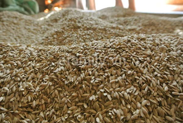 Cốm Mễ Trì - Sắc thu Hà Nội