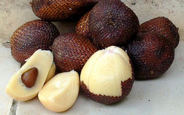 Salak - quả 