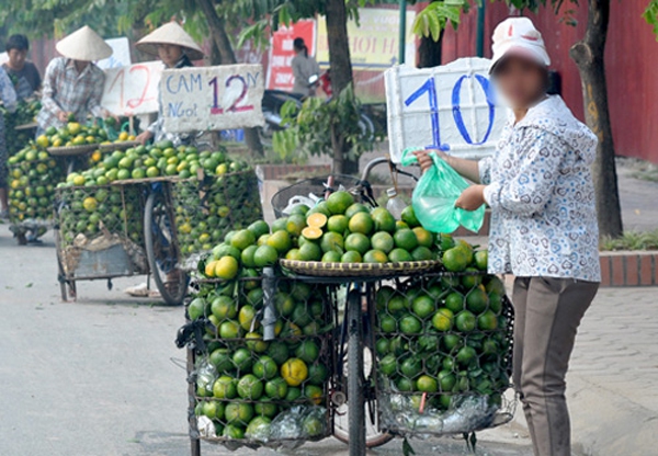 Dân Hà Giang ồ ạt bán cam non giá 3.000 đồng/kg 1