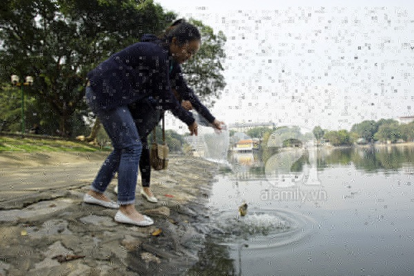 Canh khổ qua chả cá