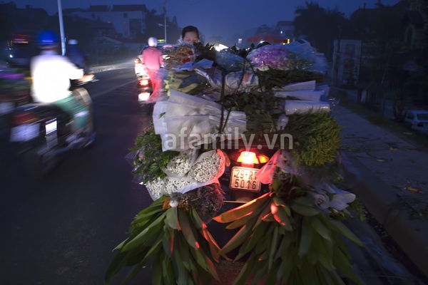 Chợ hoa đêm Hà Nội dịp 20-10: Một ngày nhìn lại 15