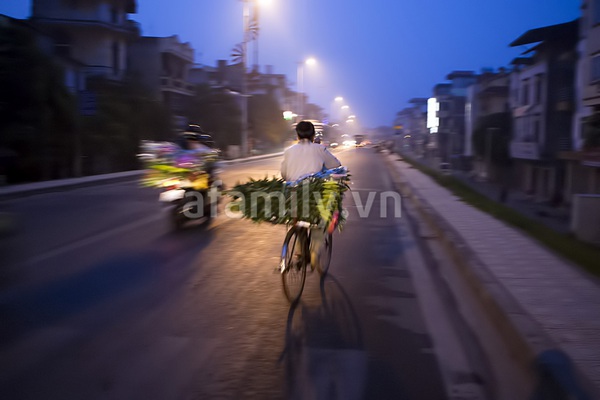 Chợ hoa đêm Hà Nội dịp 20-10: Một ngày nhìn lại 16