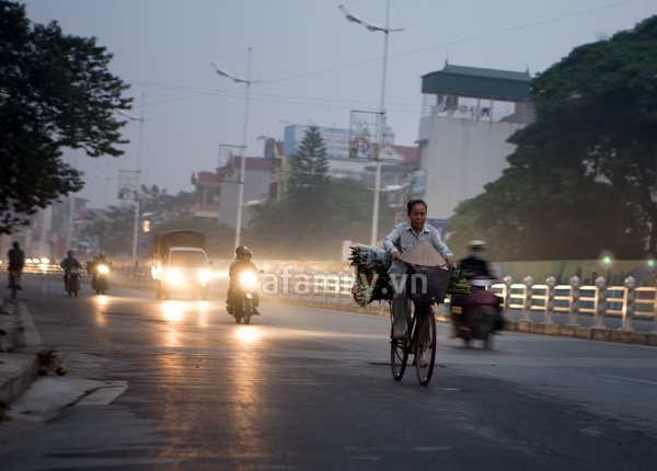 Chợ hoa đêm Hà Nội dịp 20-10: Một ngày nhìn lại 17