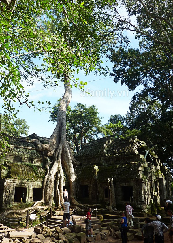 Du lịch tự túc Campuchia (P1): Thưởng ngoạn Siem Reap 11